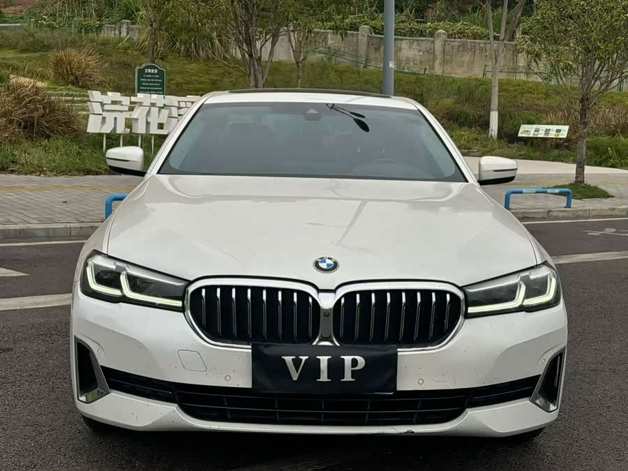 BMW 5 Series 2021, фото 2