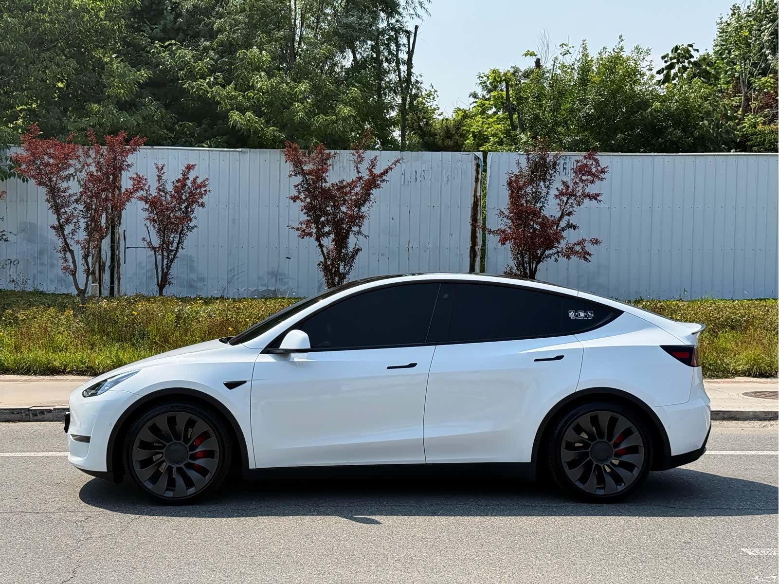 Tesla Model Y, 2023 6