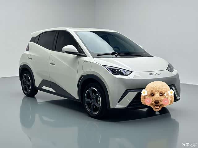 BYD Seagull, 2024 3