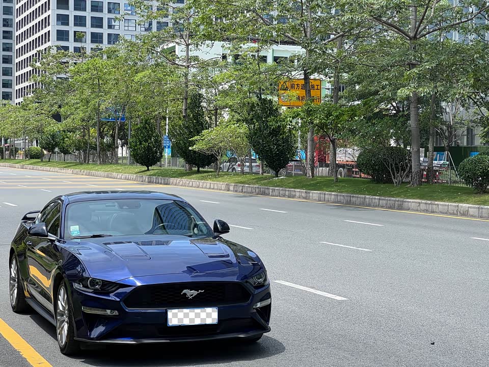 Ford Mustang Ford Mustang