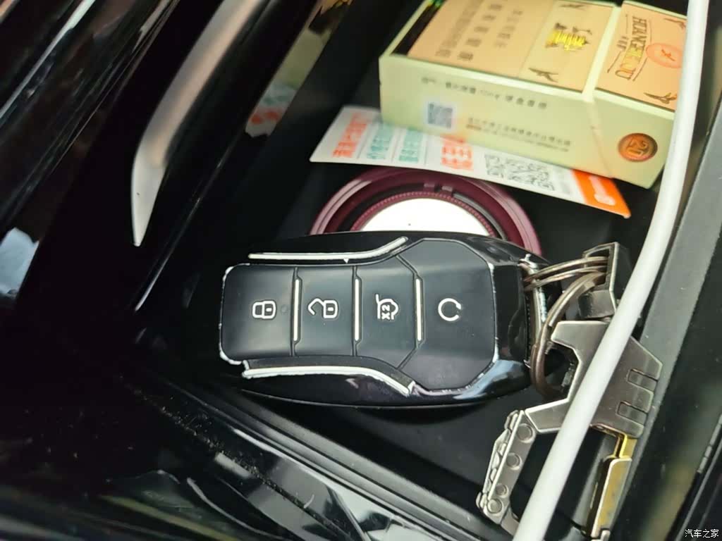 BYD Tang, 2021 9