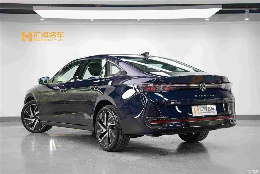 Volkswagen Magotan, 2024 4