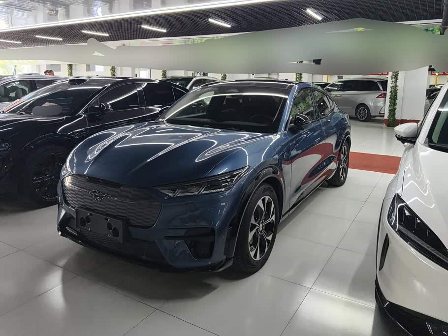 Ford 2021 Luxury