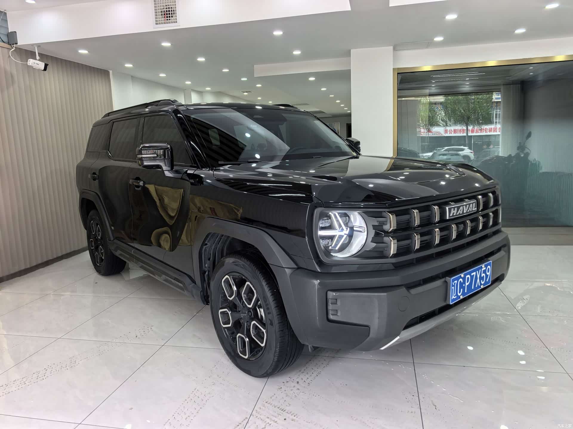 Haval Cool Dog, 2023 3