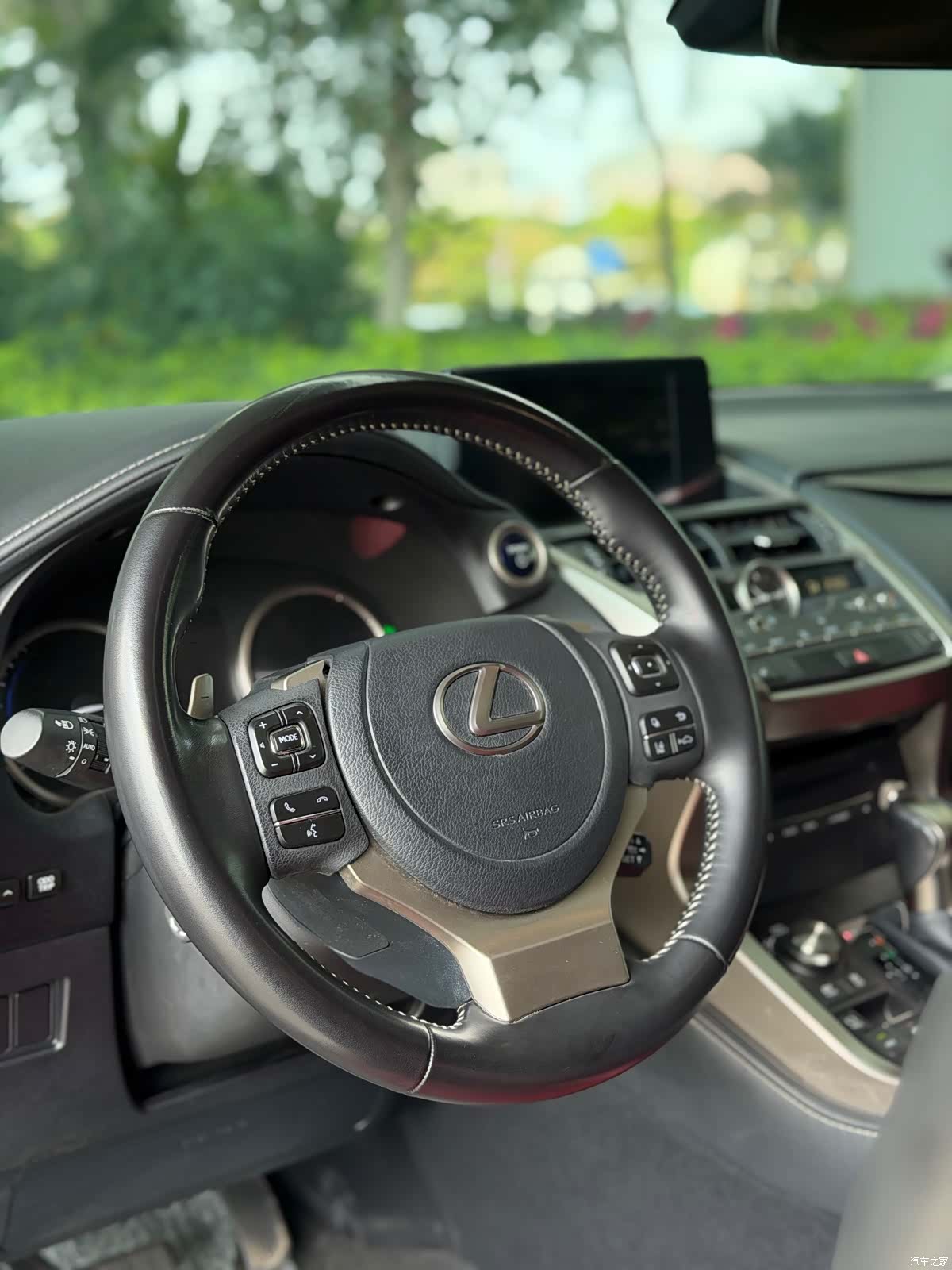 Lexus NX, 2021 все фото