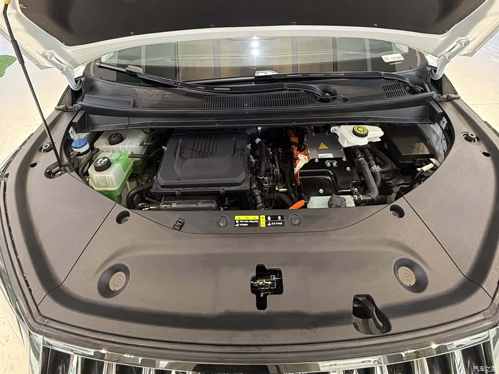 Trumpchi E9, 2025 6