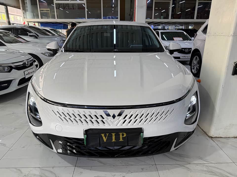 Wuling Wuling Starlight