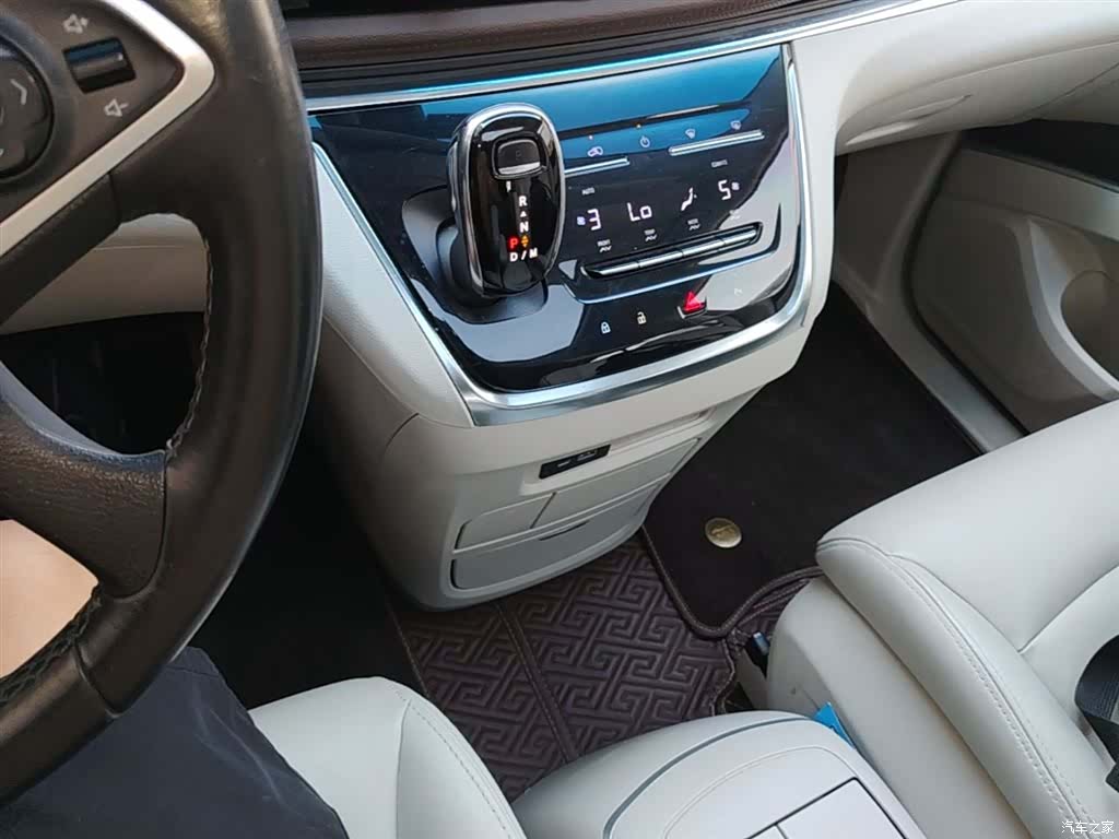Buick GL8, 2020 14
