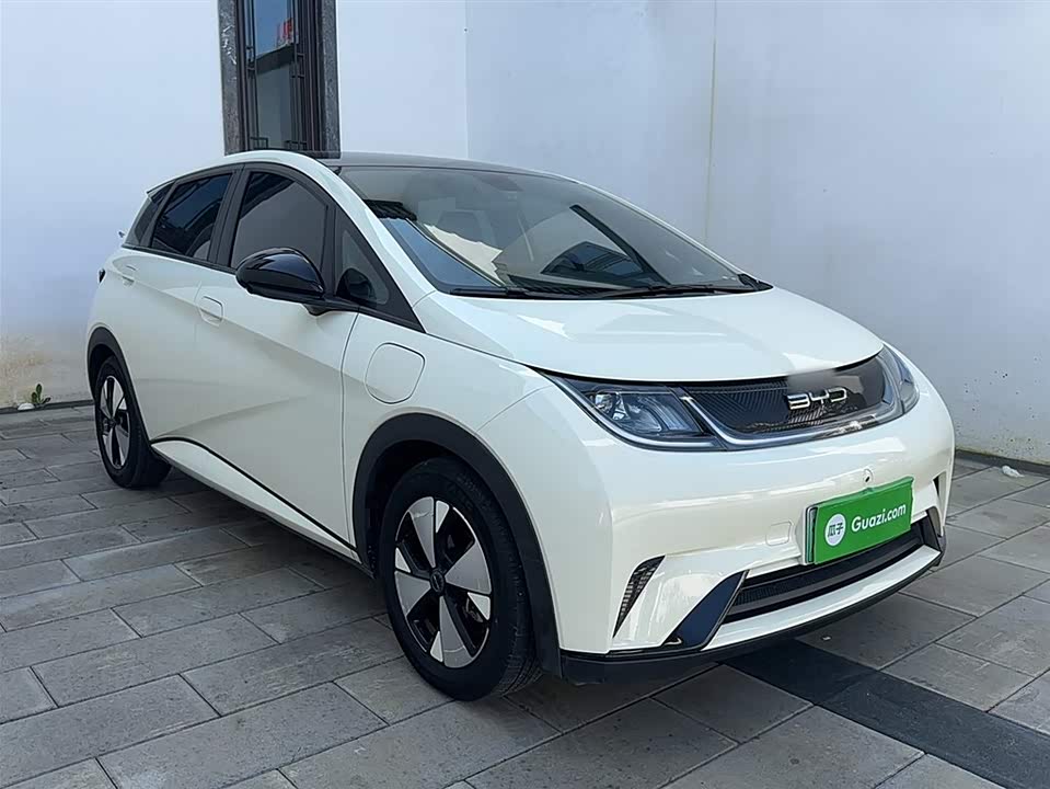 BYD dolphin