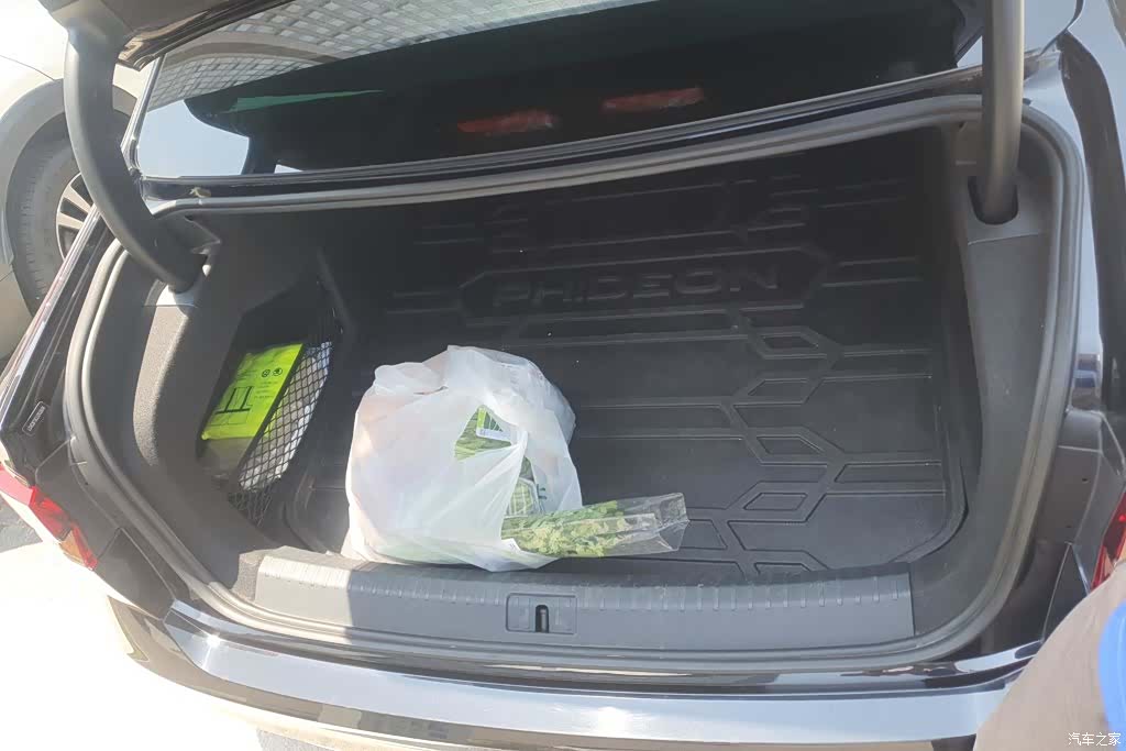 Volkswagen Phideon, 2018 4