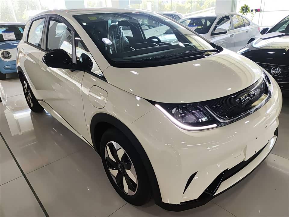 BYD dolphin