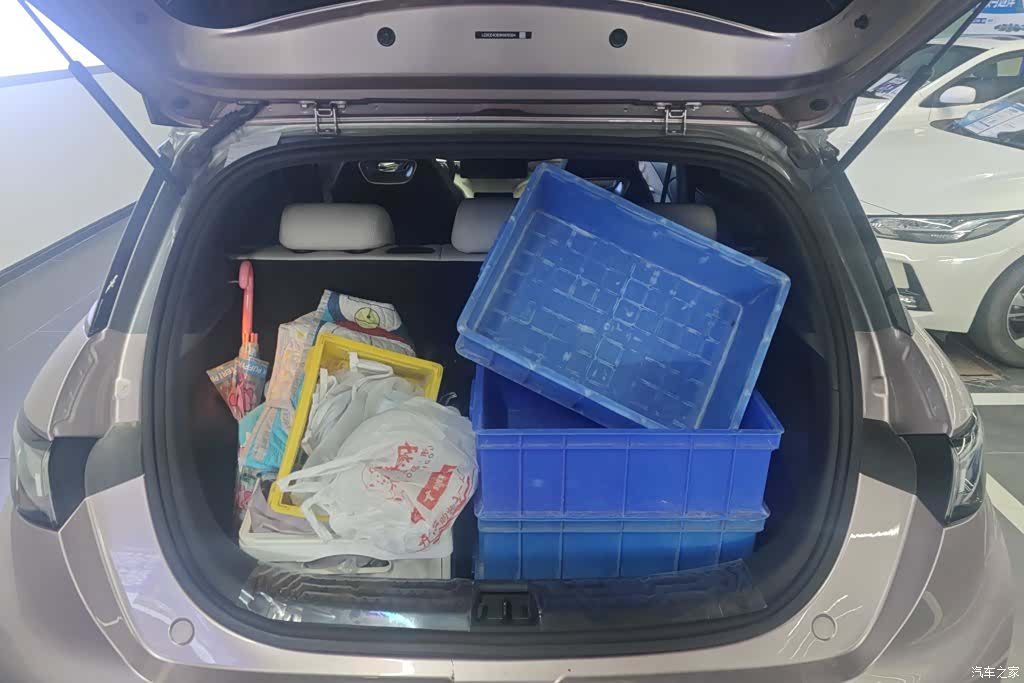 BYD Dolphin, 2025 4