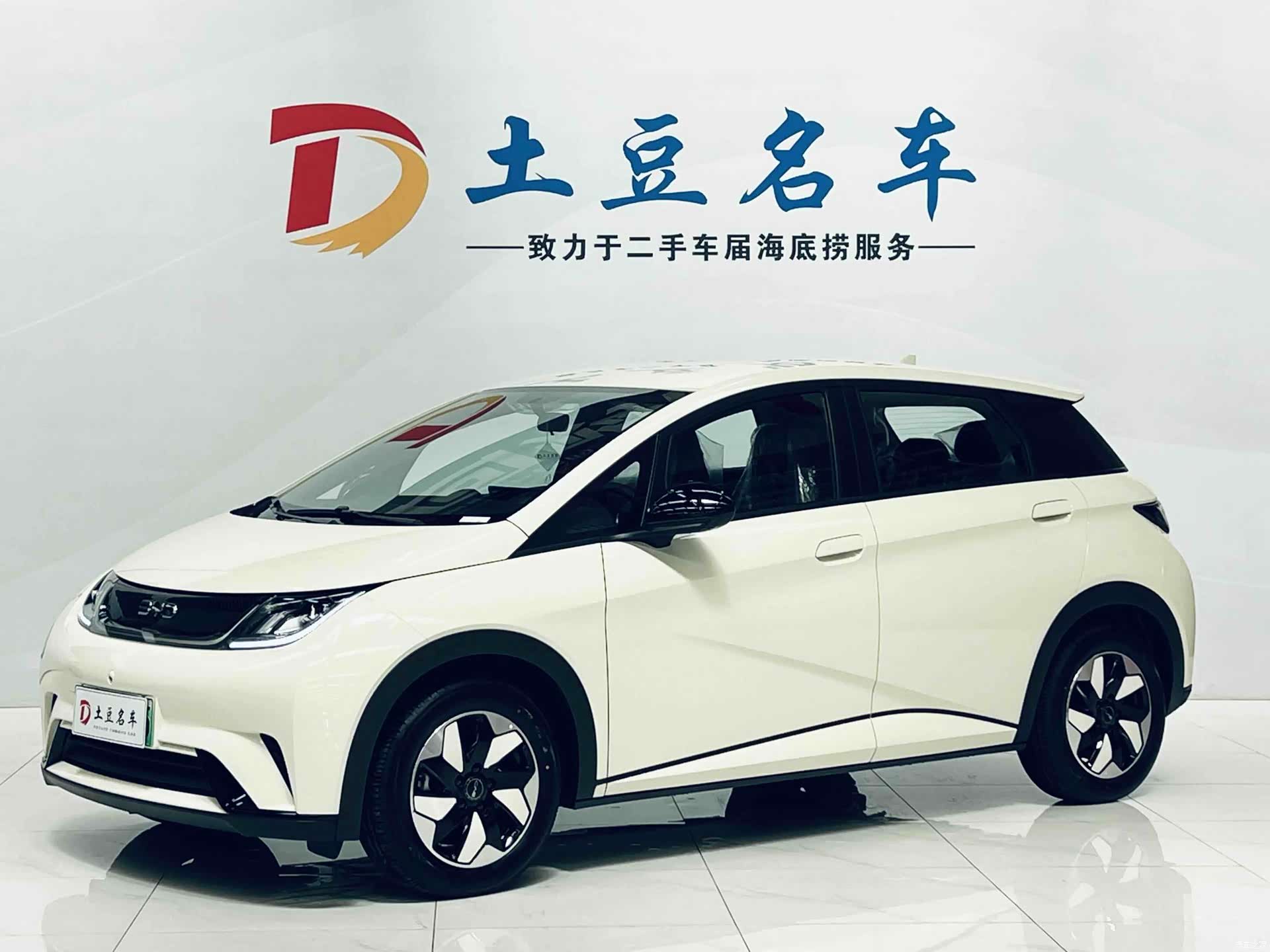BYD Dolphin, 2026 1