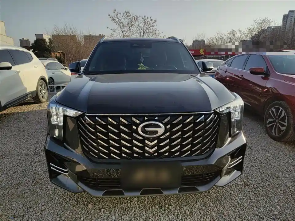 Trumpchi Trumpchi GS8