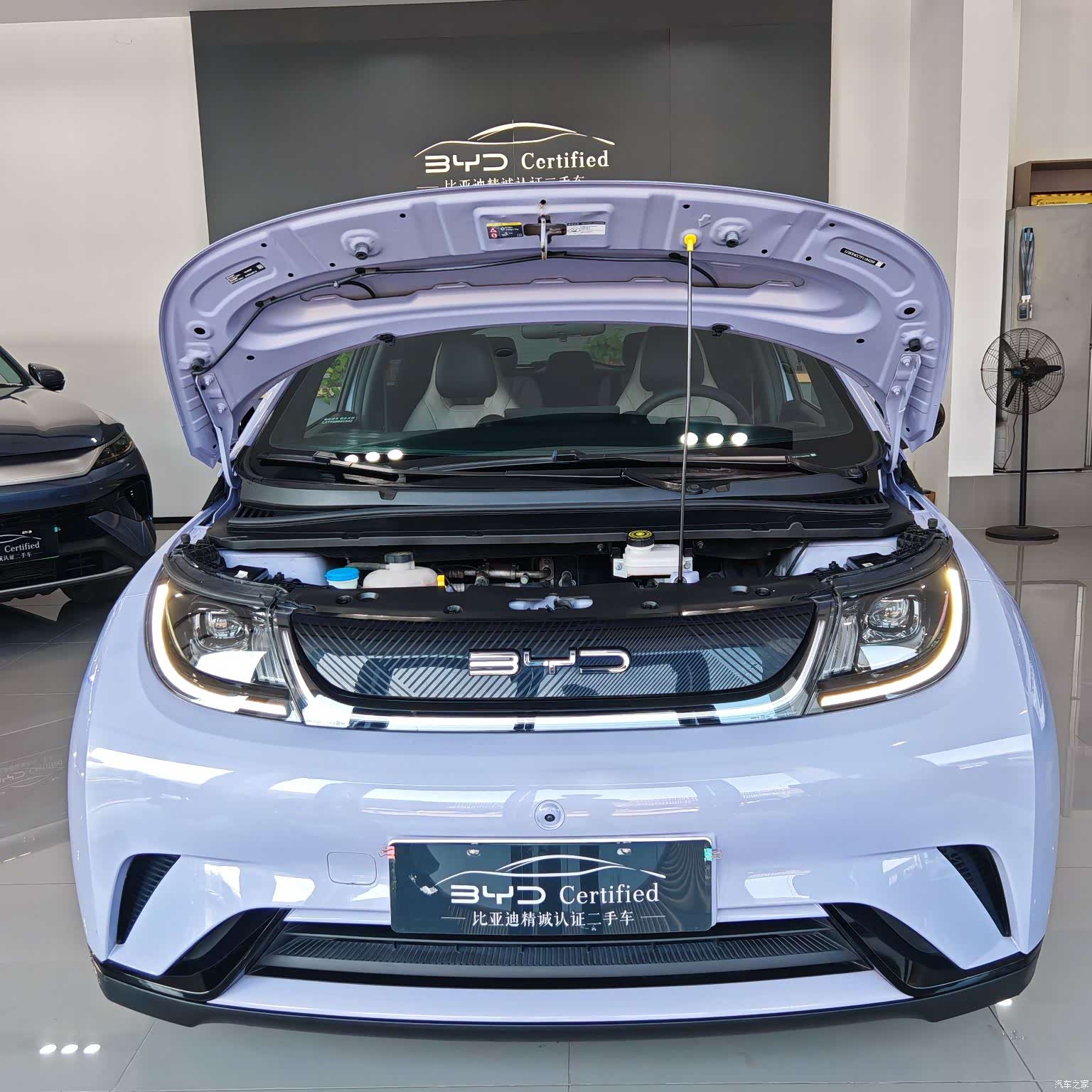 BYD Dolphin, 2023 13