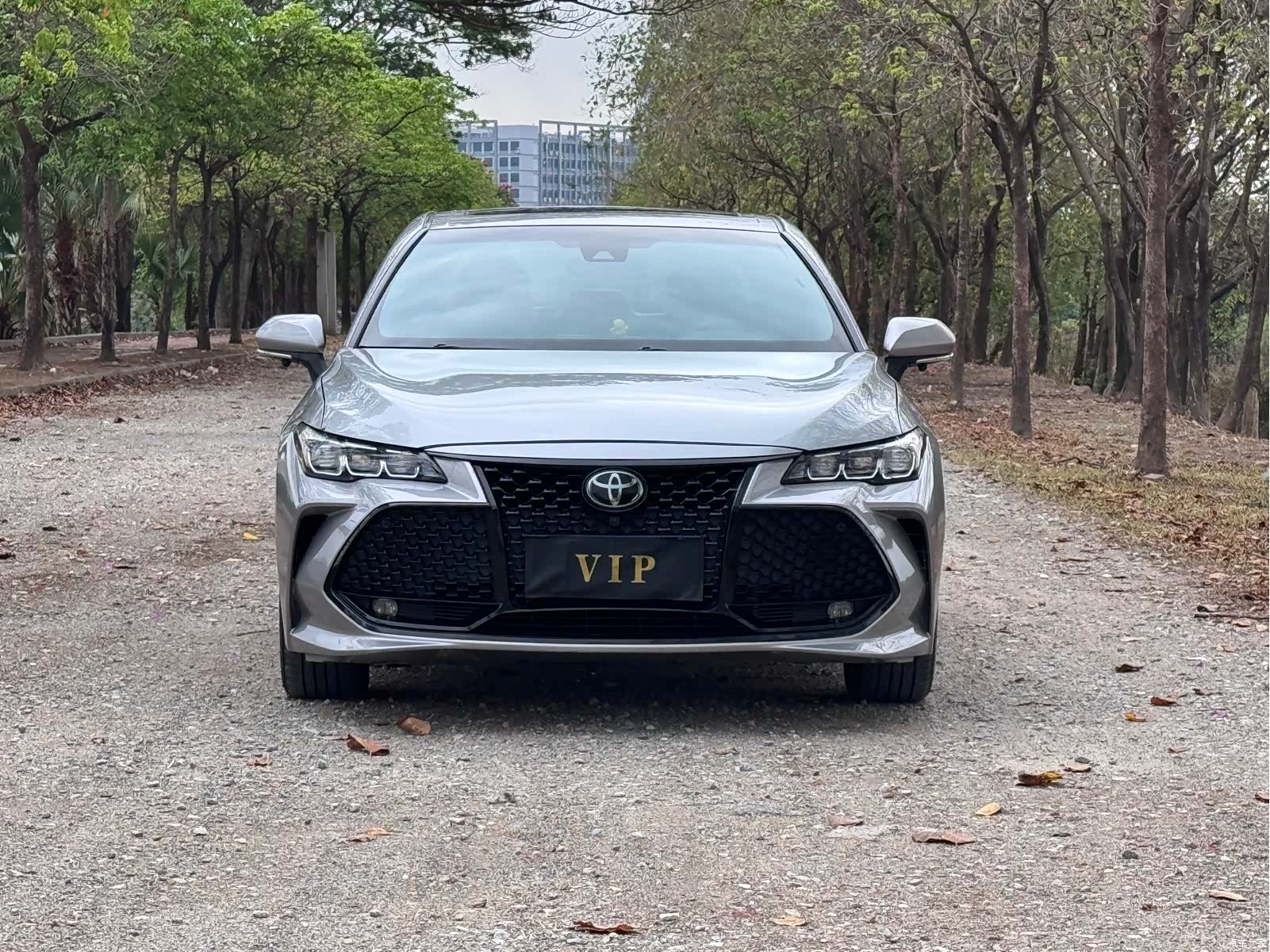 Toyota Avalon, 2019 2