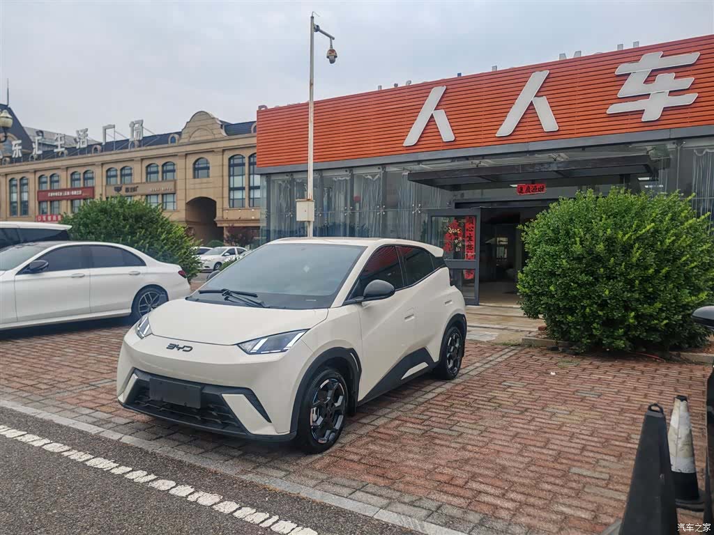 BYD Seagull, 2024 1