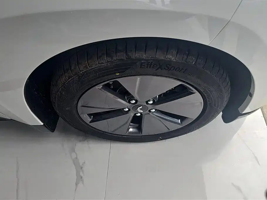 Wuling Wuling Starlight