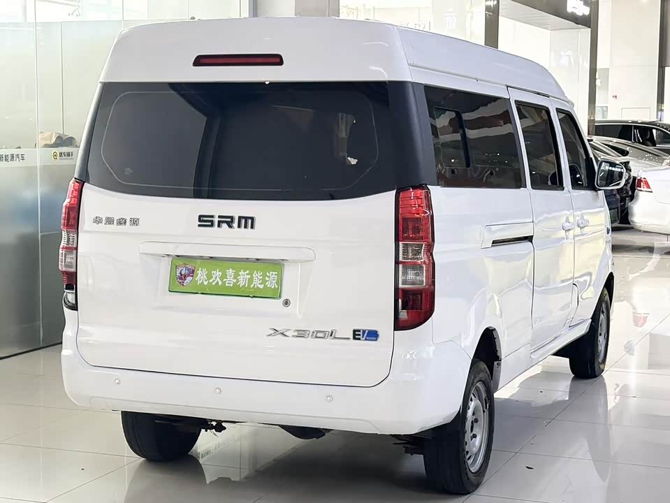 Shineray  Sea Lion EV