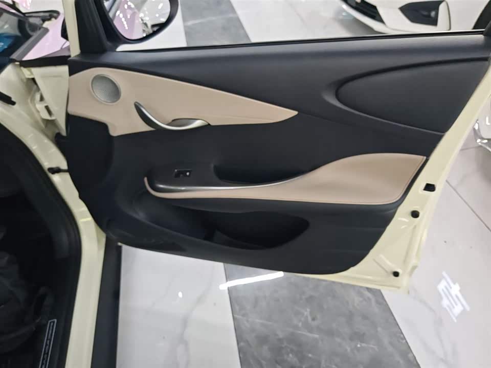BYD dolphin