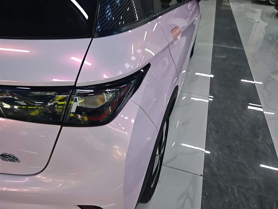 BYD dolphin