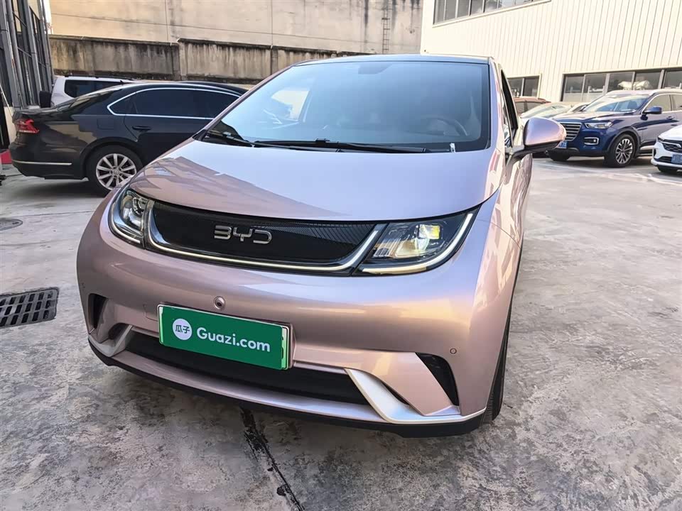 BYD dolphin