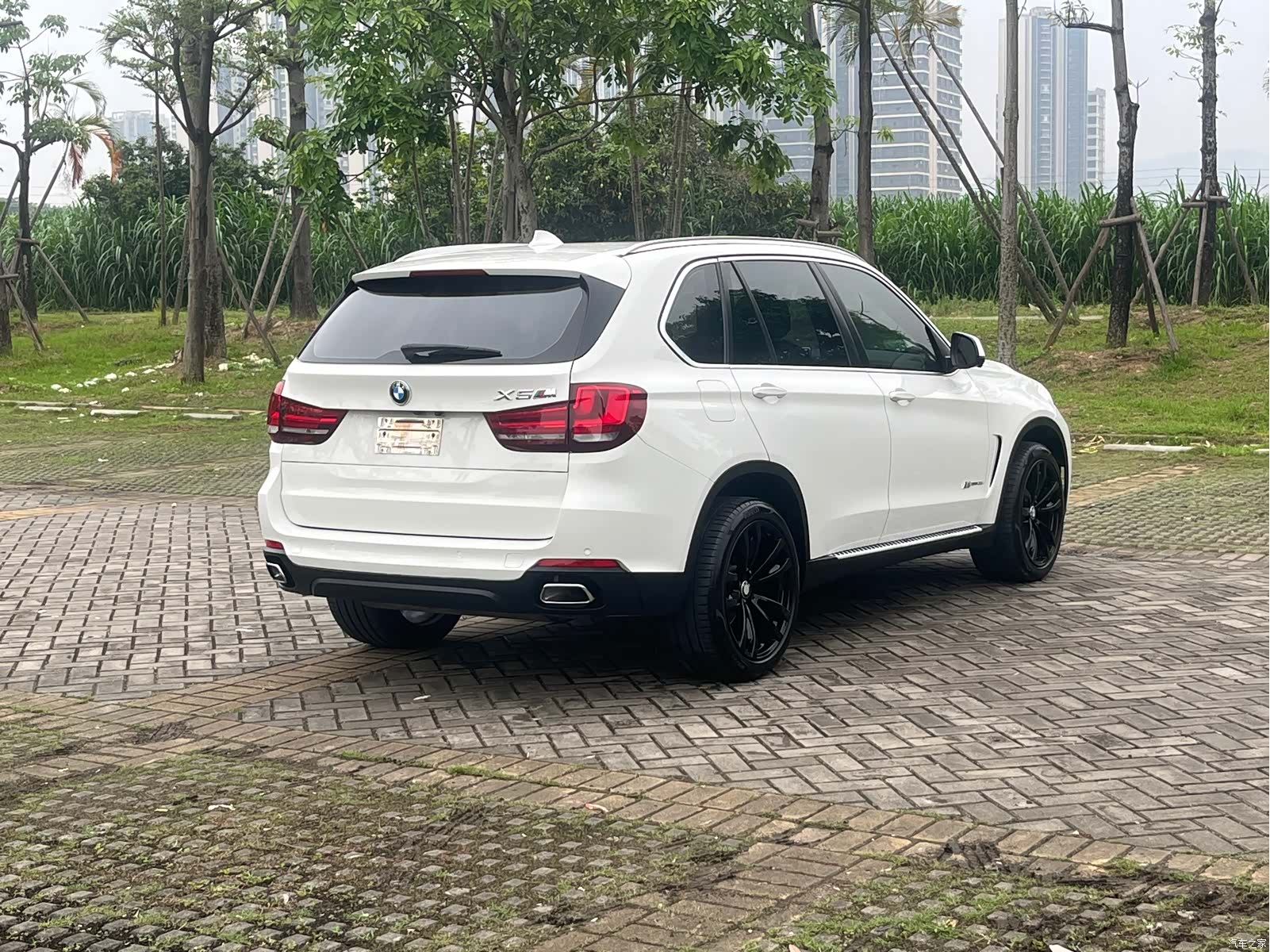 BMW X5, 2019 все фото
