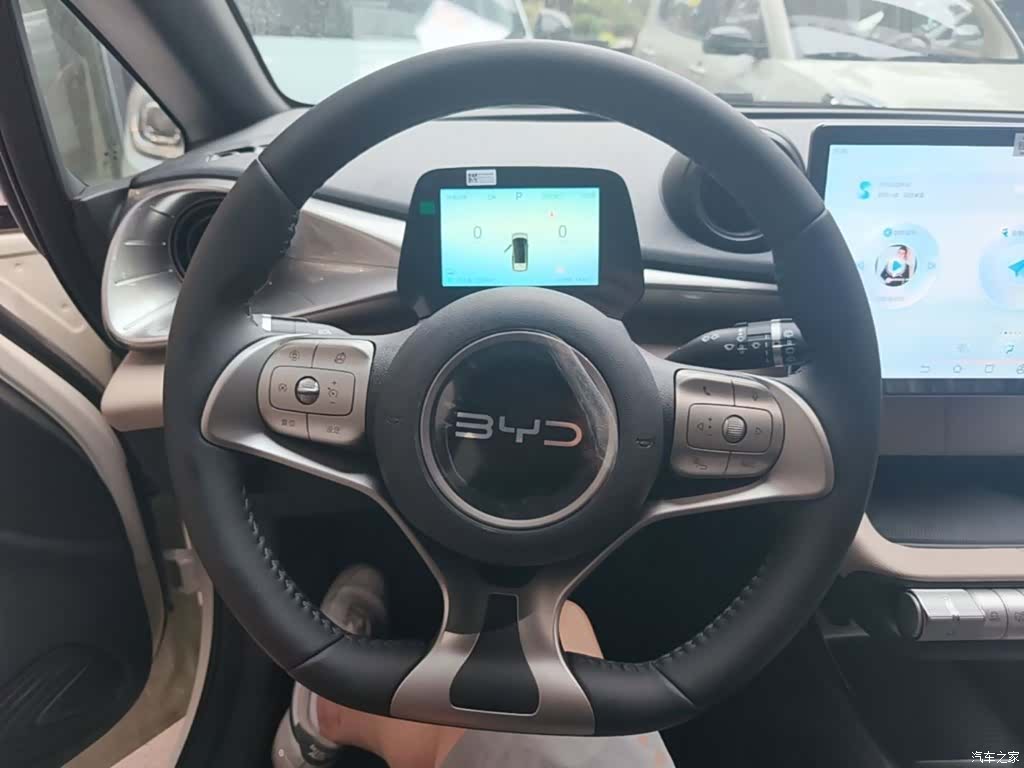 BYD Dolphin, 2026 11