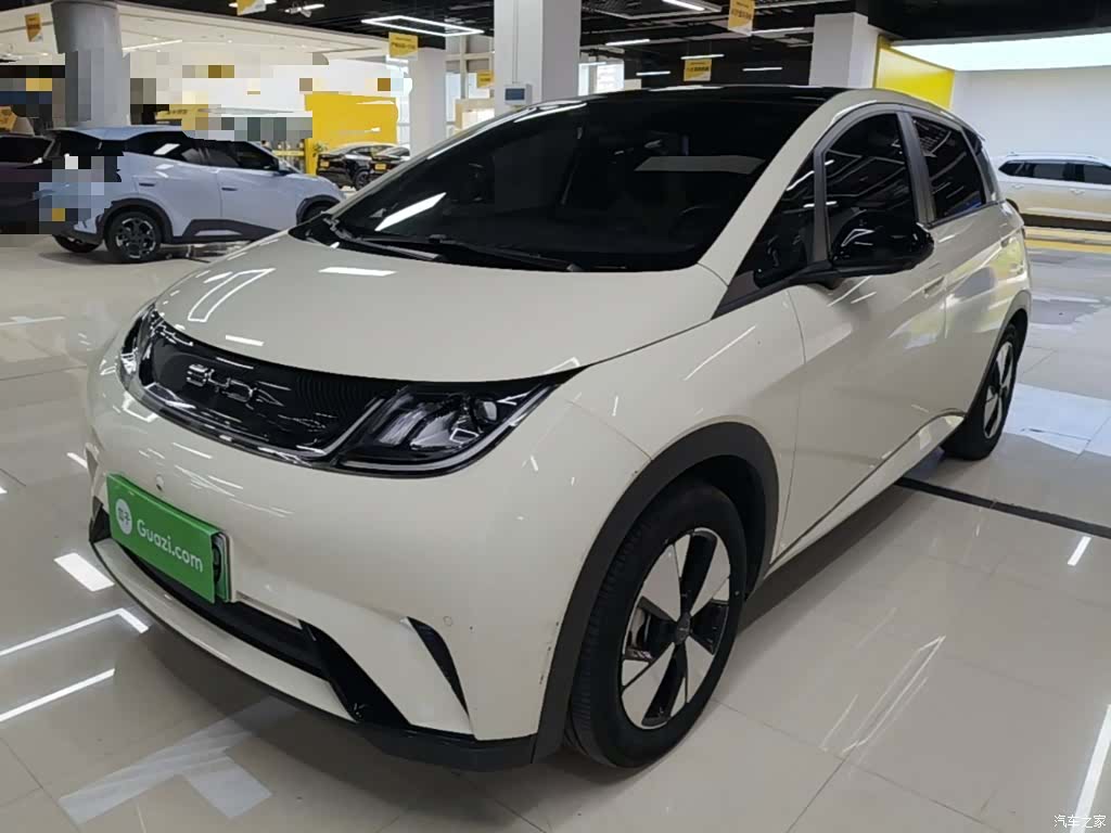 BYD Dolphin, 2024 1