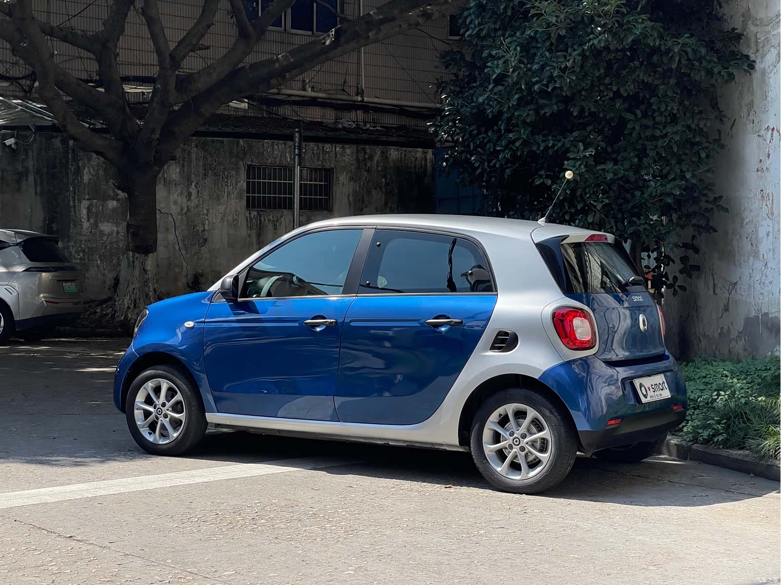 Smart Forfour, 2019 3