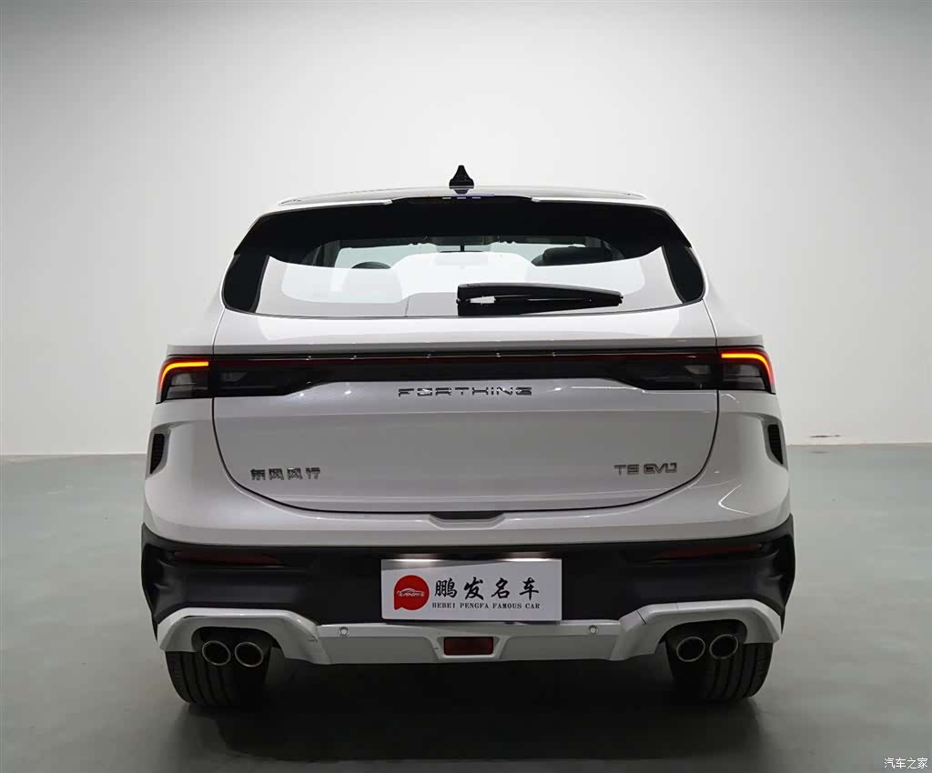 DongFeng T5, 2024 17