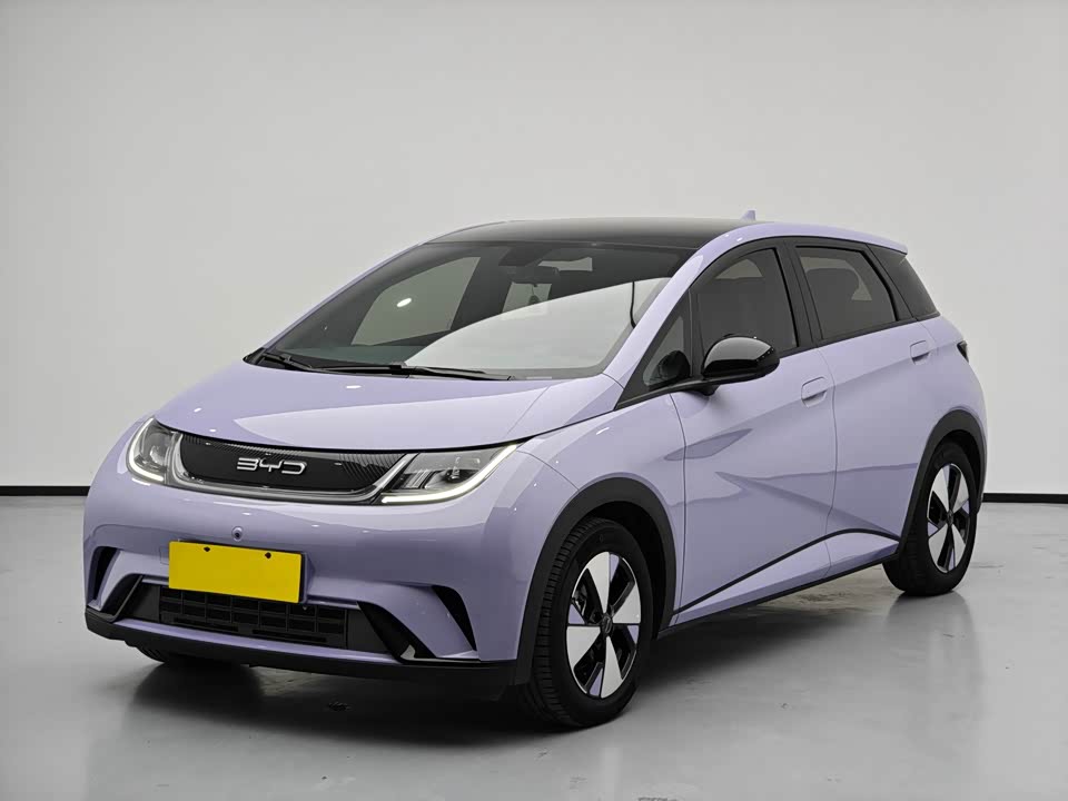 BYD dolphin
