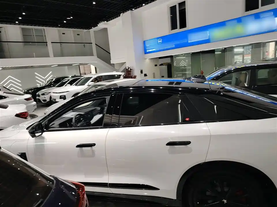 ARCFOX Polar Fox Alpha S