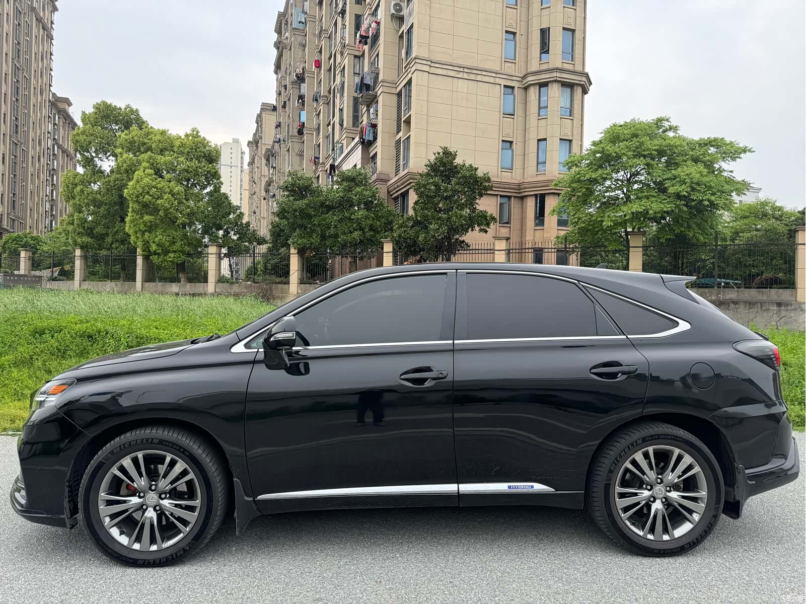 Lexus RX, 2010 3