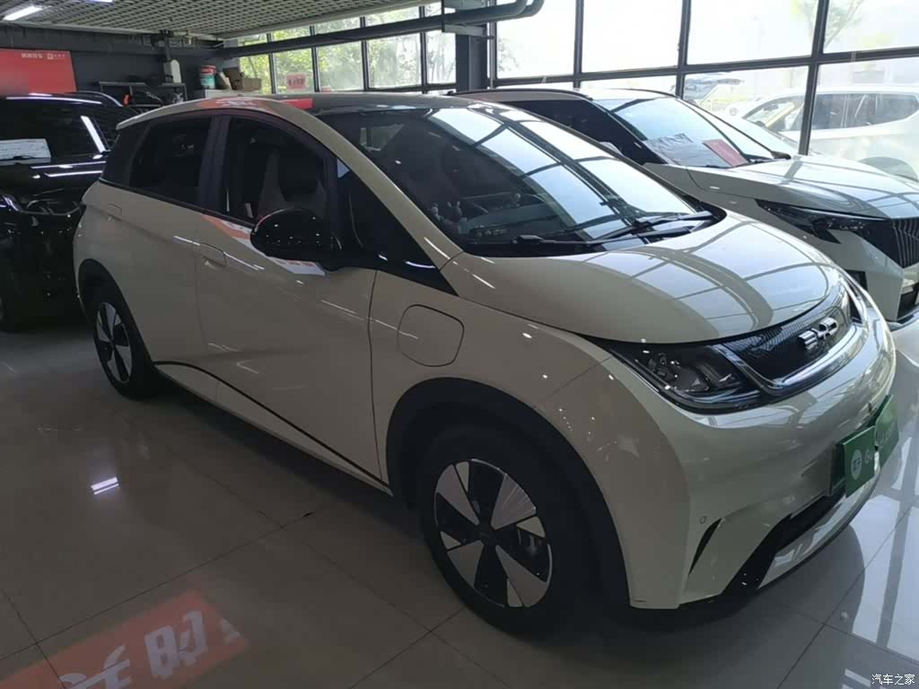 BYD Dolphin, 2024 4