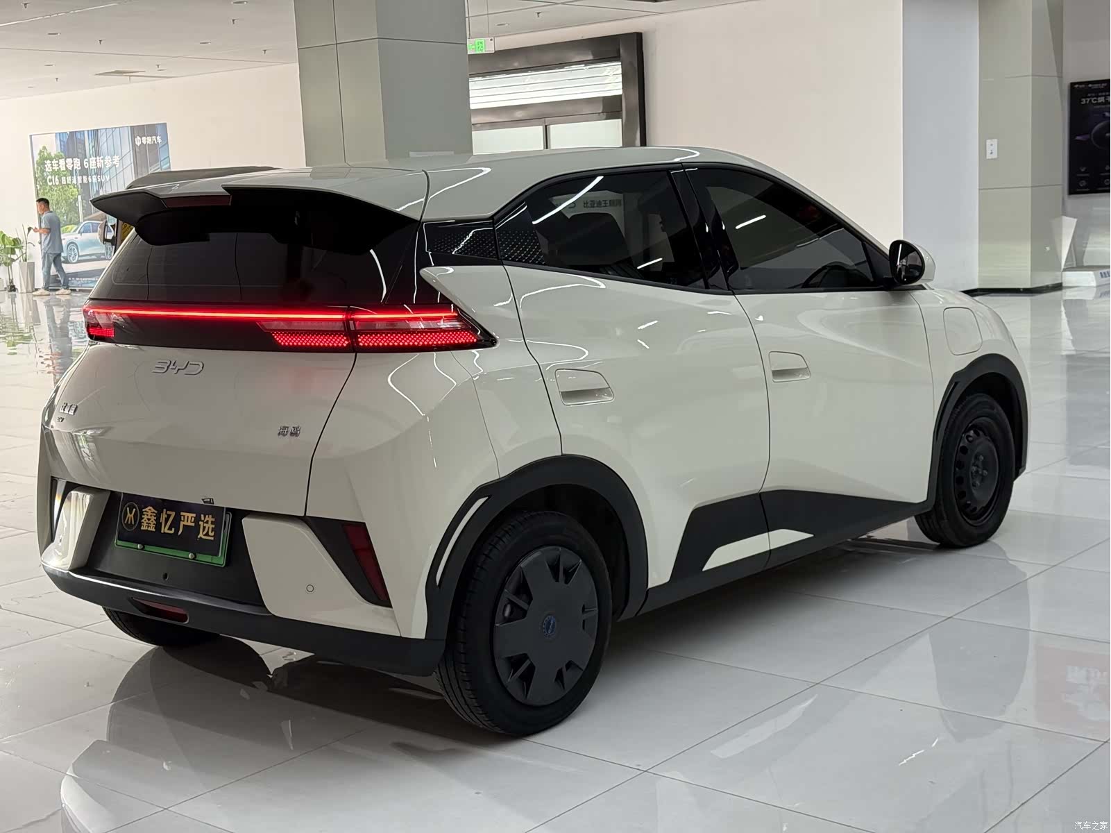 BYD Seagull, 2025 6