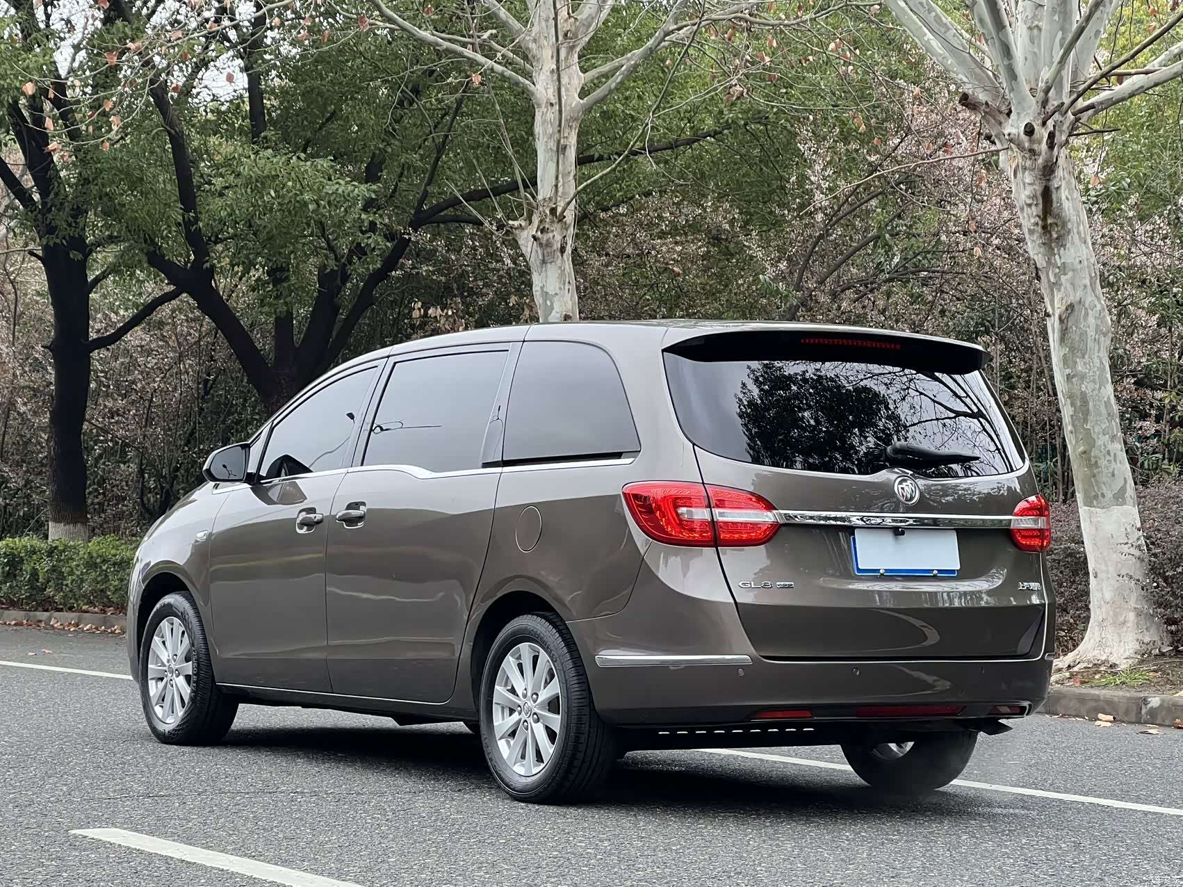 Buick GL8, 2019 16