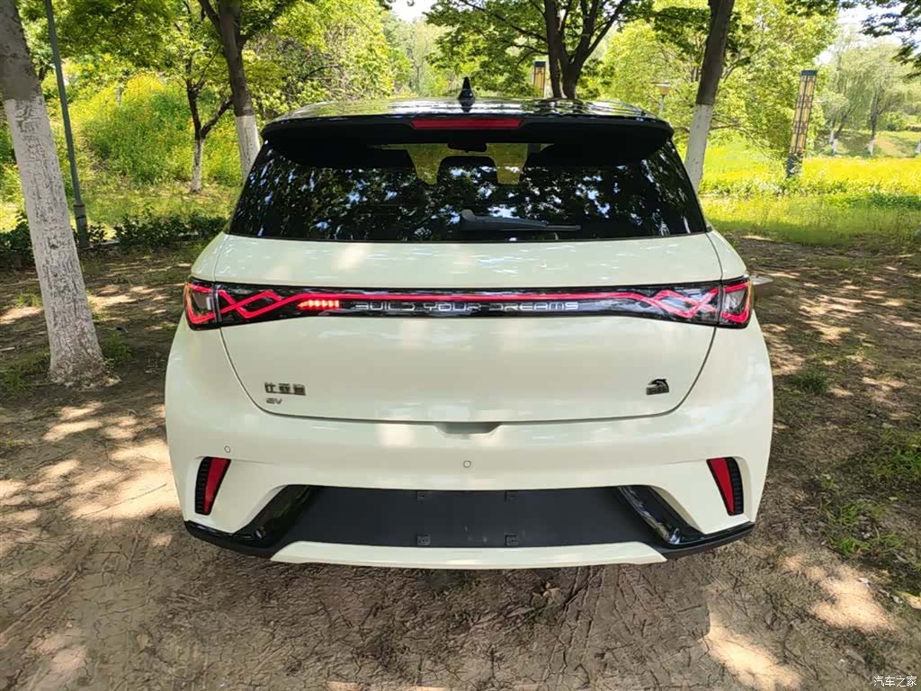 BYD Dolphin, 2023 6