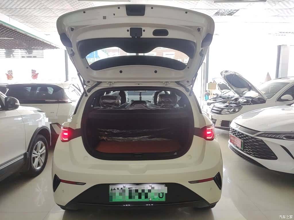 BYD Dolphin, 2026 19