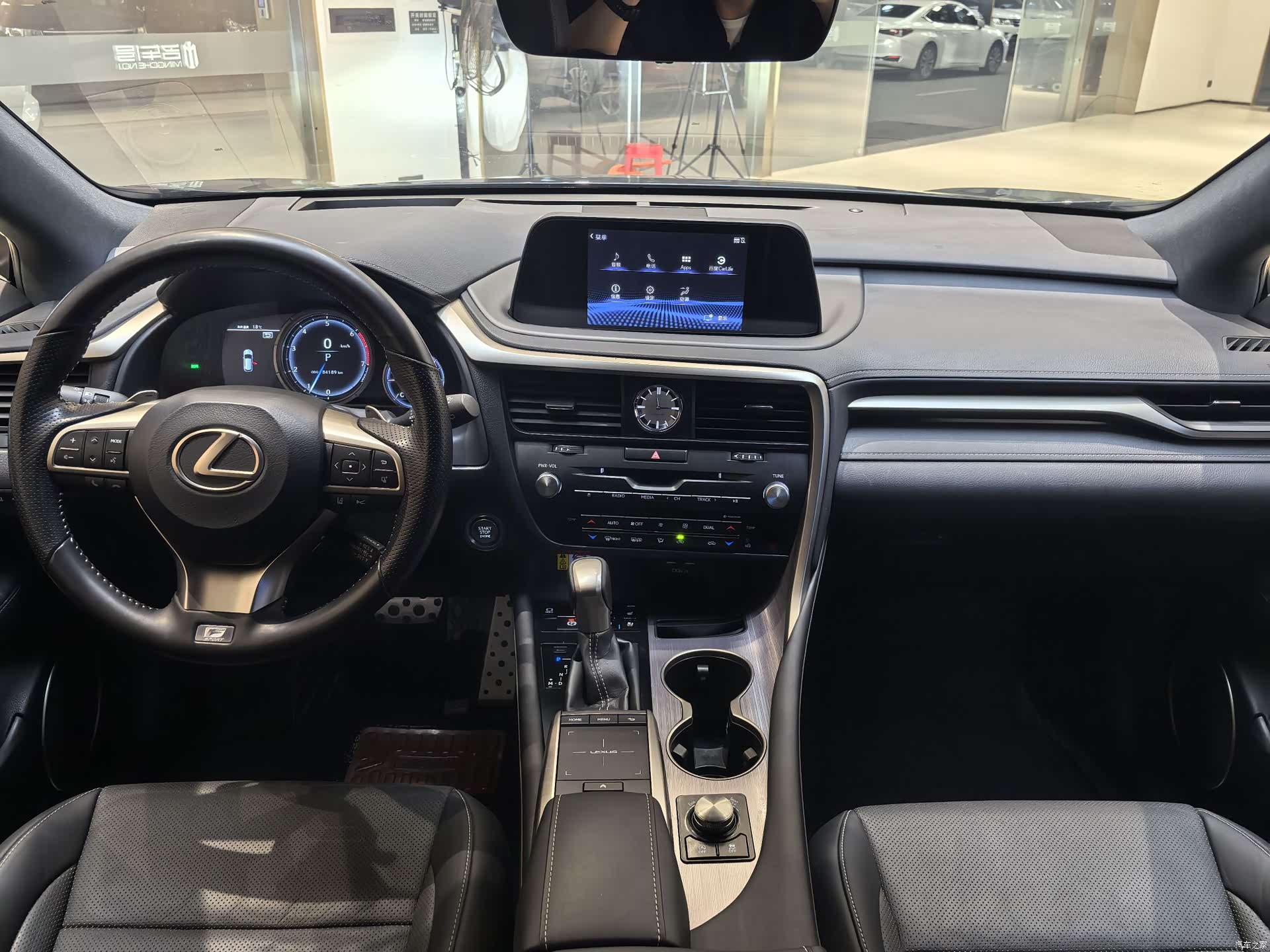 Lexus RX, 2021 16