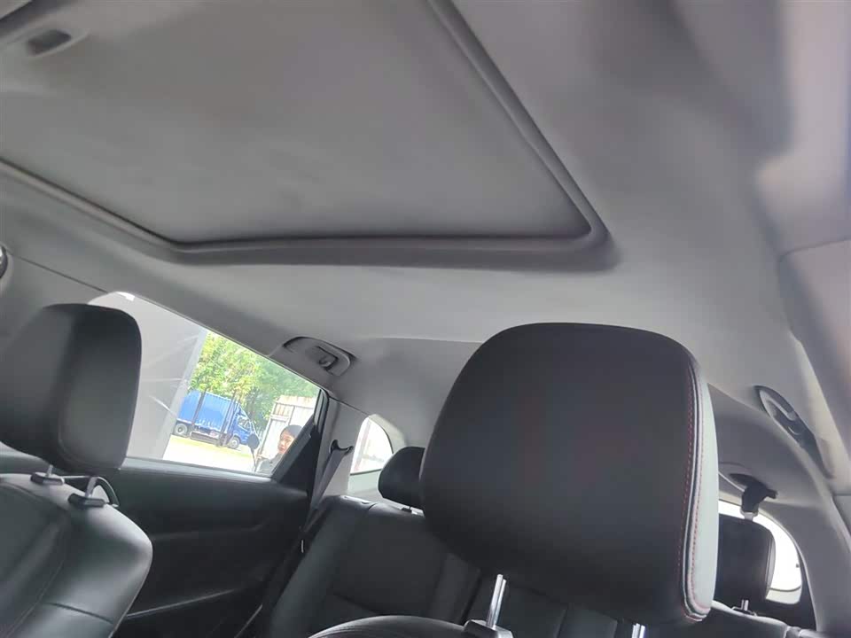 Leopaard Cheetah CS10