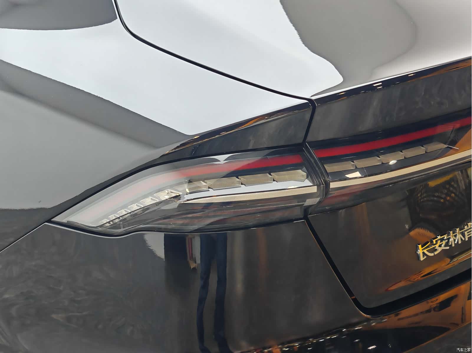 Lincoln Z, 2022 7