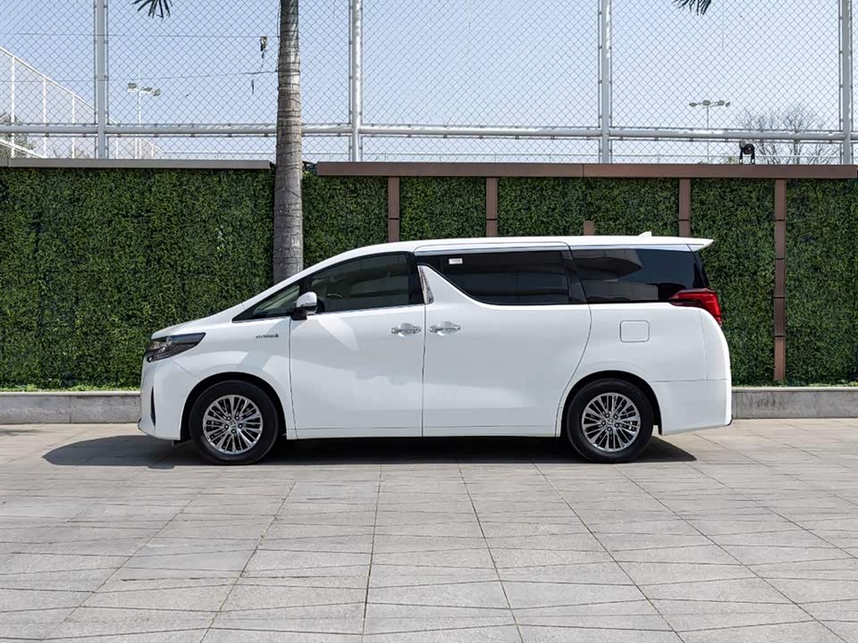 Toyota Elfa