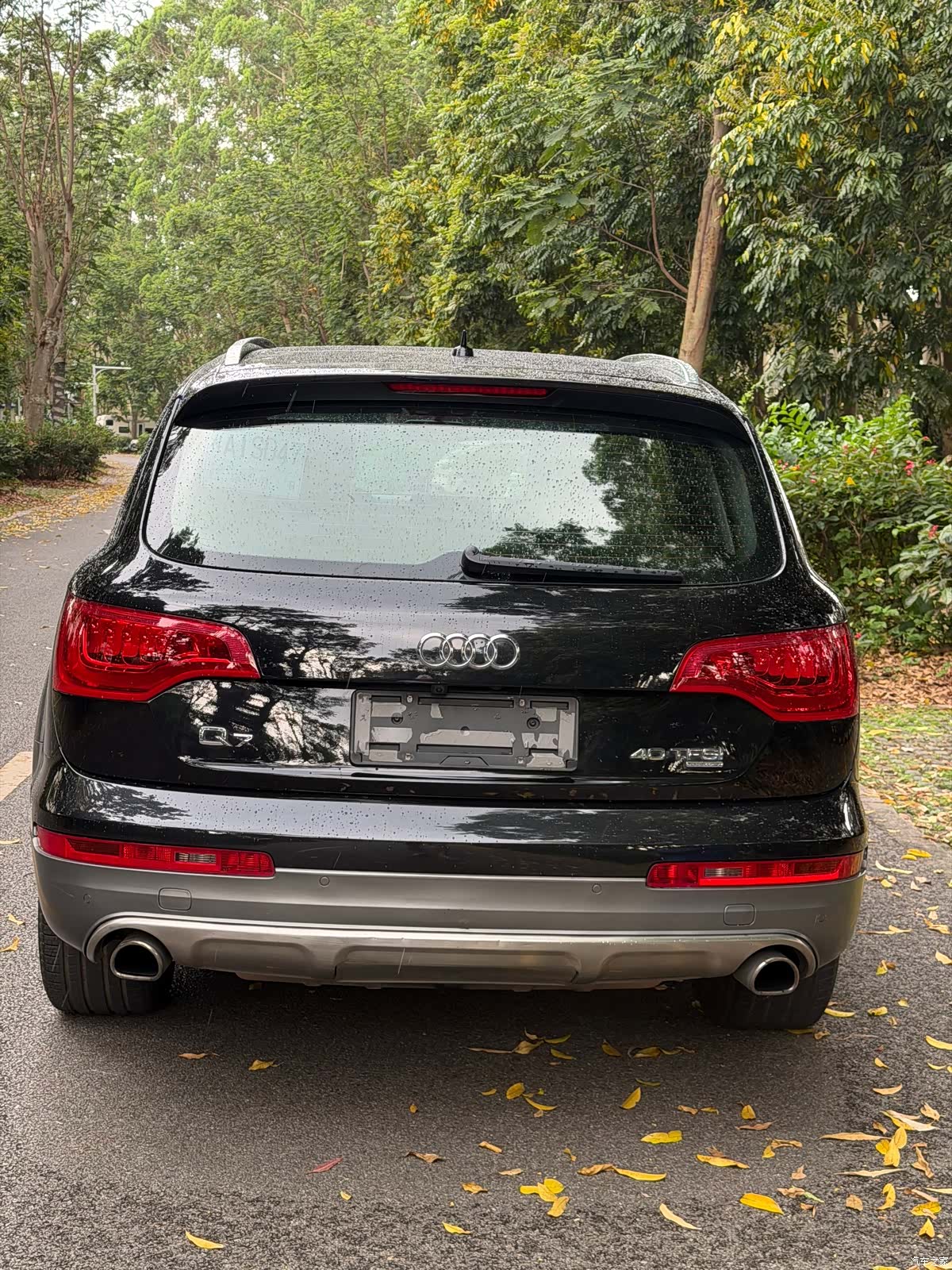 Audi Q7, 2015 все фото