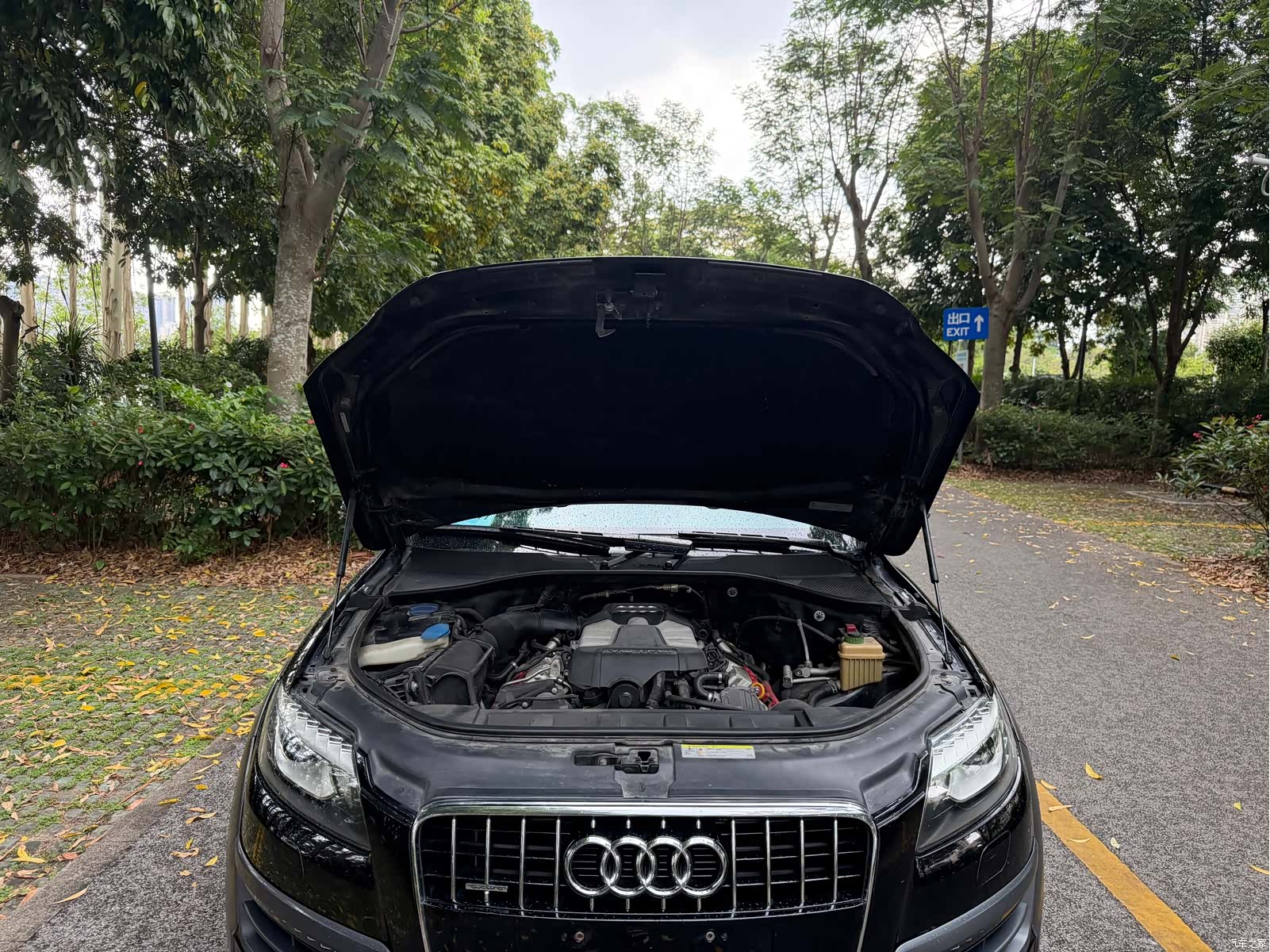 Audi Q7, 2015 12