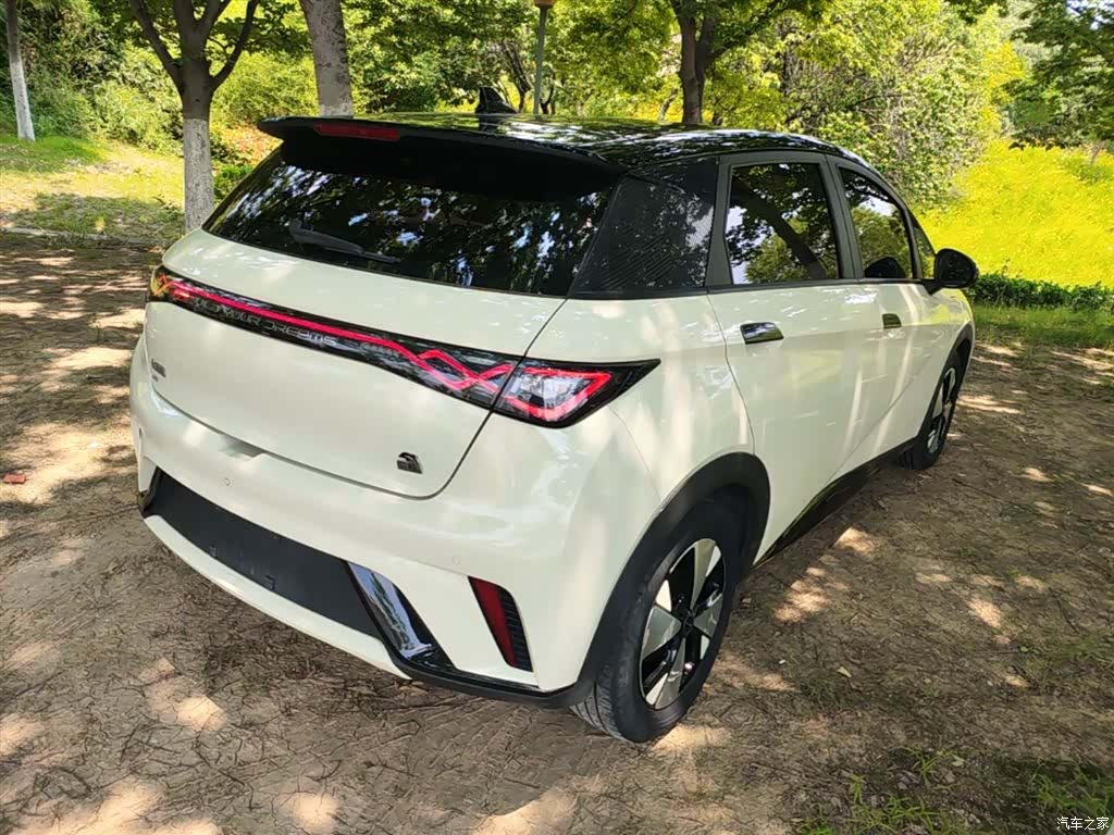 BYD Dolphin, 2023 7