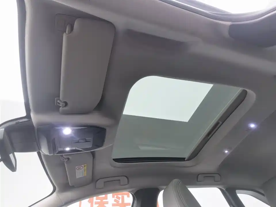 Citroen Versailles C5 X