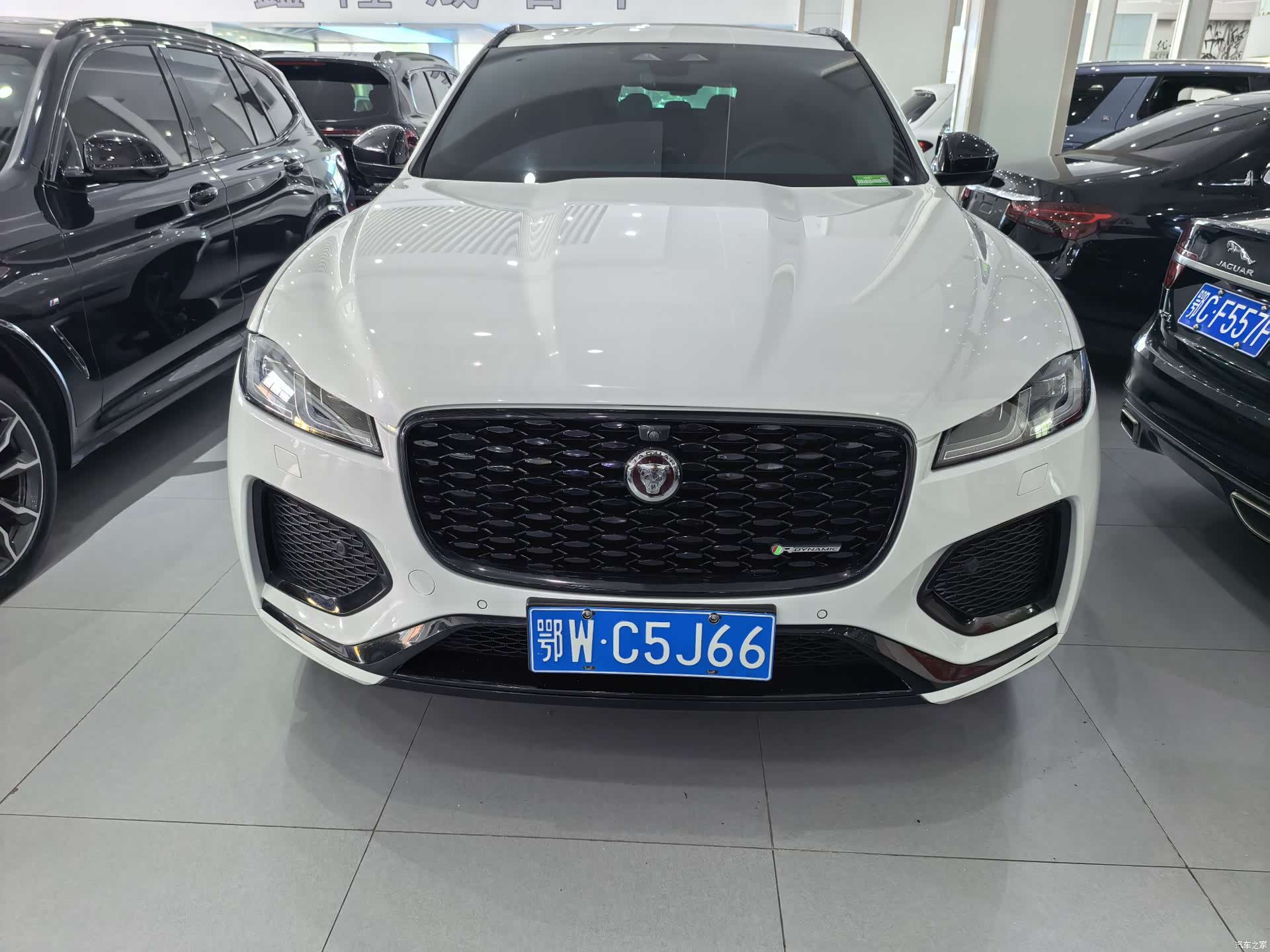 Jaguar F-PACE, 2023 2
