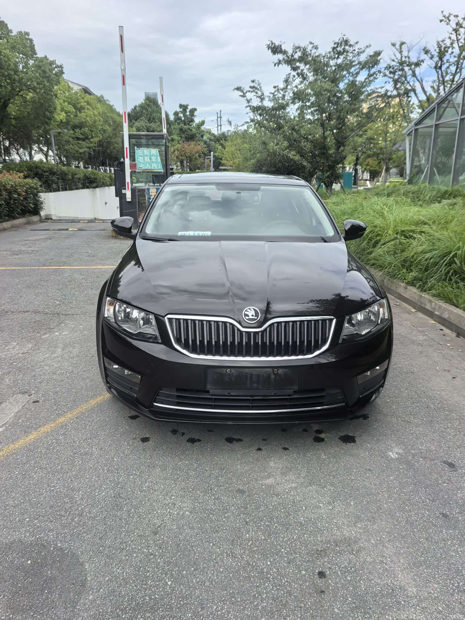 Skoda Octavia, 2017 3