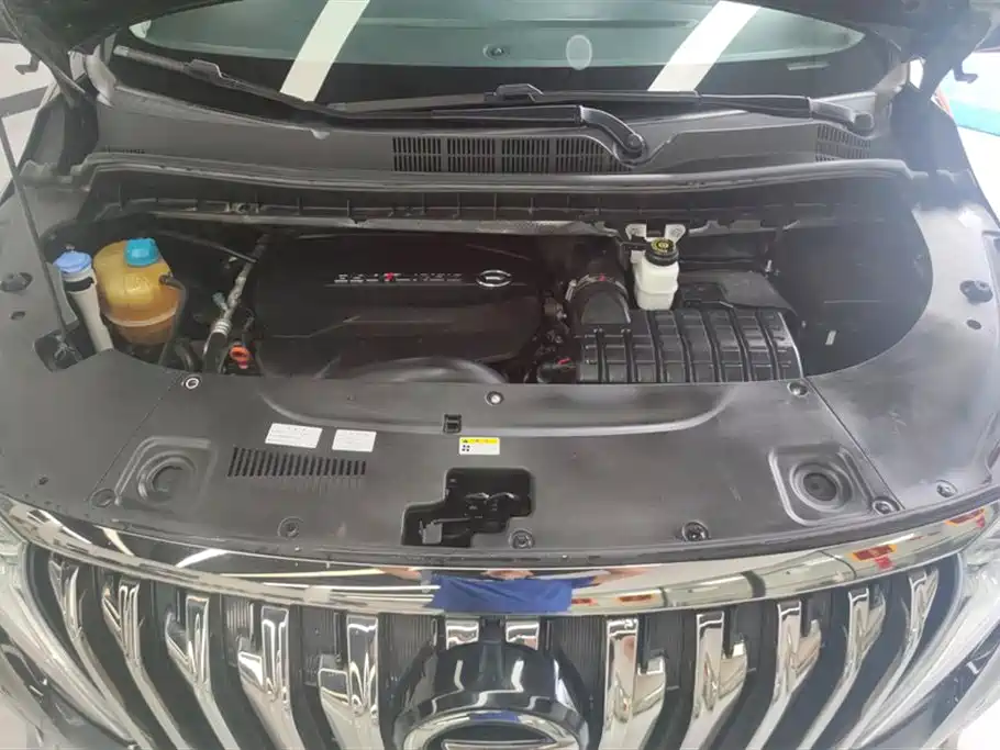 Trumpchi Trumpchi M8